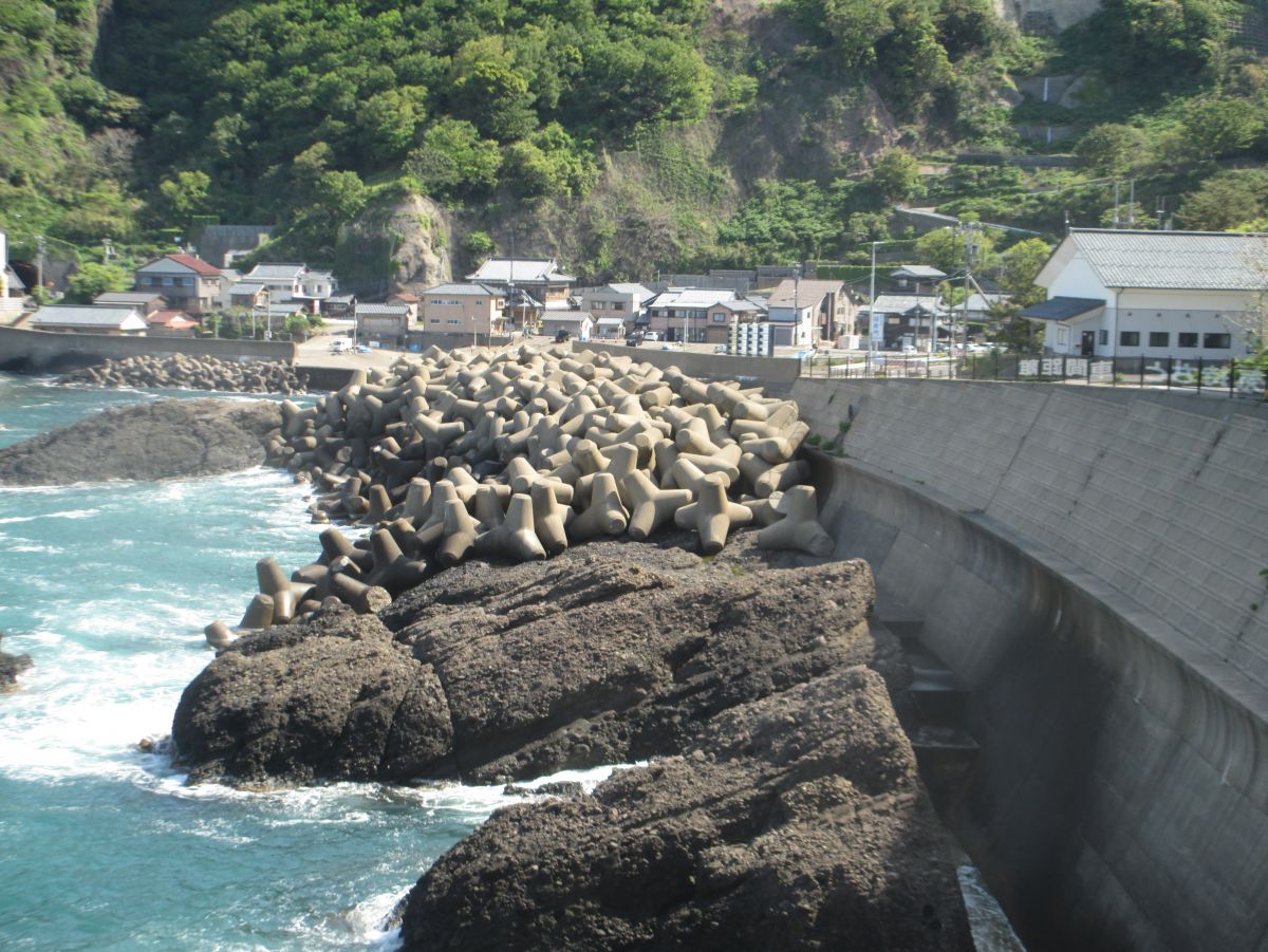 福井越前町・浜善旅館（はまぜん旅館）越前がに